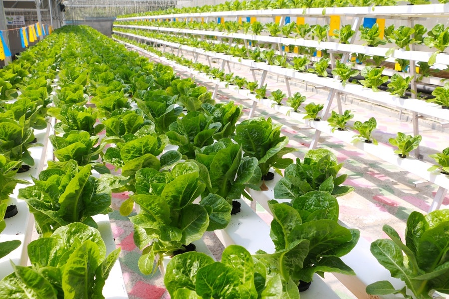 The Latest Breakthroughs In Sustainable Farming Techniques - Science ...